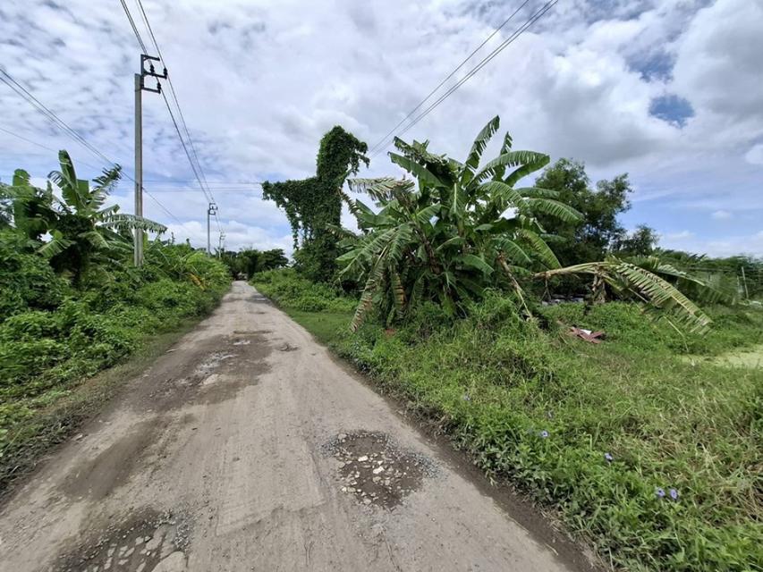 ขาย ที่ดิน ซอยวัดสุขใจ 19 ขนาด 404 ตร.วา แปลงสี่เหลี่ยมสวย มีบ่อน้ำ เหมาะทำบ้านพักอาศัย หรือโกดัง