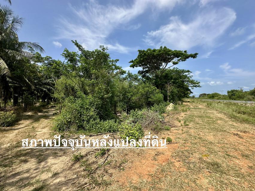 ขายที่ดิน แปลงมุมสวย เนื้อที่ 8-3-37.5 ไร่ ติดถนนเพชรเกษม ขาขึ้น กทม. ตำบลบ่อนอก อำเภอเมืองประจวบคีรีขันธ์ จังหวัดประจวบคีรีขันธ์ 13