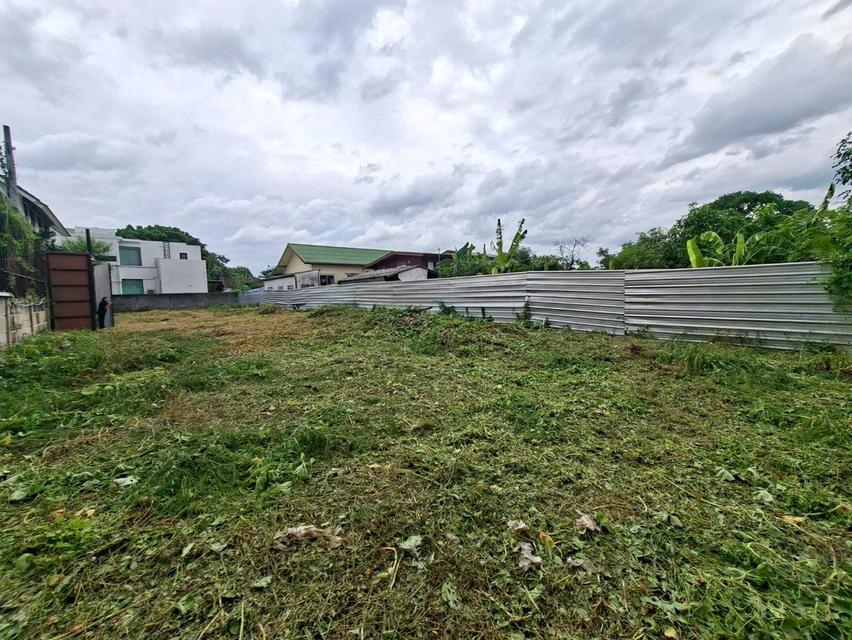 ขายที่ดิน 159 ตร.ว. สุขุมวิท 101 (ปุณณวิถี 52) ใกล้ BTS ปุณณวิถี เหมาะสำหรับสร้างบ้าน (N.2304) 3