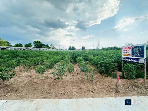 ข่าวดี.📢(9,000บ./วา) ในเมืองโคราชใกล้เซฟวัน  #ที่ดินจัดล็อค เฉลี่ย.(1 ไร่.ะ3.6 ล้าน) | หลังเจ้าสัวโคราช. | *น้ำไม่ท่วม. | ราคาถูกพิเศษ หายาก!! 14