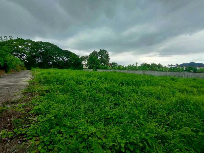 ที่ดิน บางระมาด พุทธมณฑล สาย 1 แปลงสวย ถมแล้ว ซอยประสิทธิ์พัฒนา 4