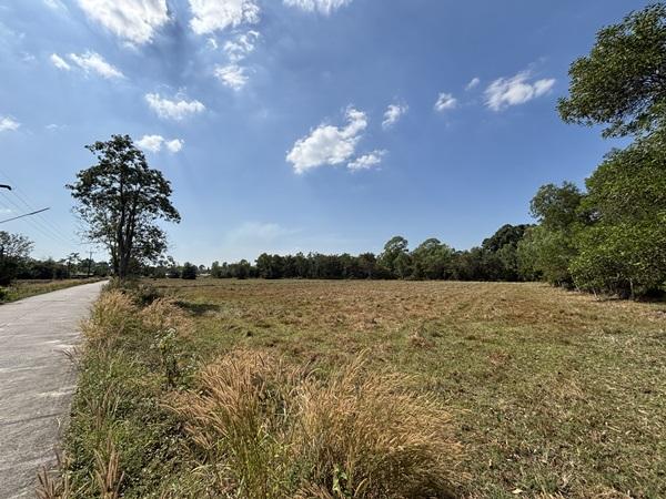 ขายที่ดิน 13 ไร่ 63 ตร.ว. บ้านนา นครนายก ถนนสุวรรณศร ยกแปลก หรือแบ่งก็ได้ โทร 089-7411750 1