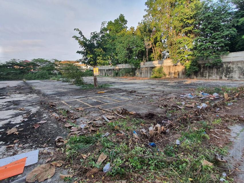 ขายที่ดิน 1 ไร่กรุงเทพกรีฑา, กรุงเทพ 3