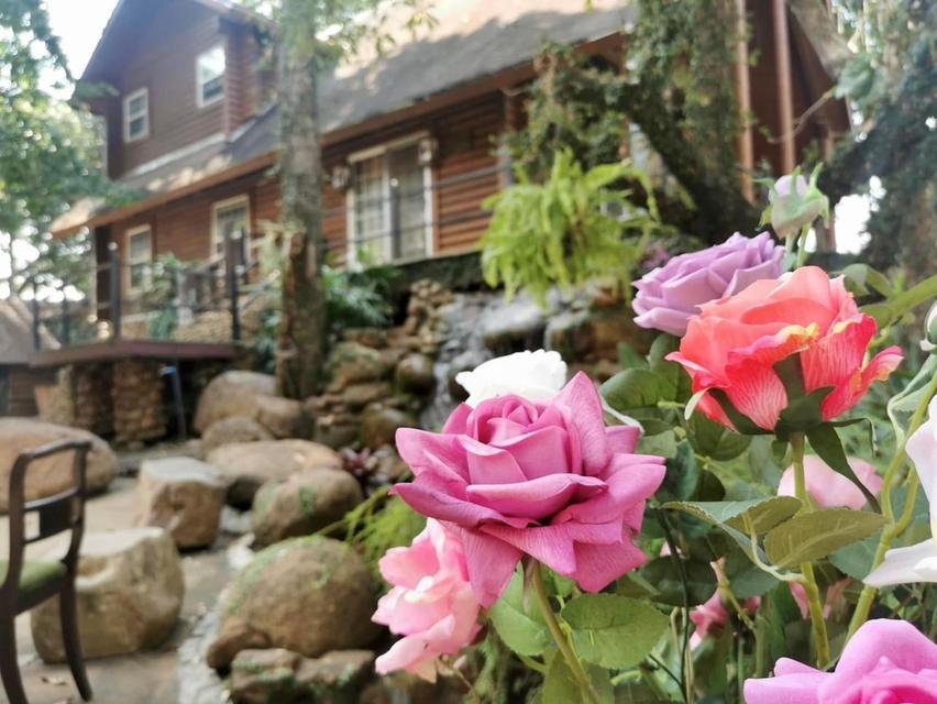 ขายกิจการ บูทีส โฮเทลและร้านอาหารสวนสวย เชียงใหม่ Sale Boutique Hotel and Restaurant with run business immediately in Sankhamhaeng Chiang Mai 7