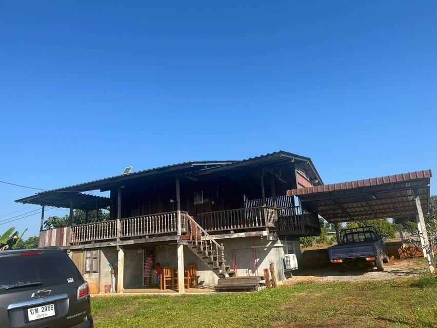 บ้านเดี่ยวพร้อมที่ดิน 3ห้องนอน3ห้องน้ำ 1