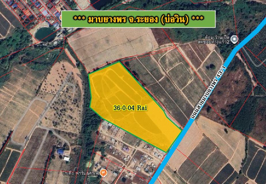 ขายที่ดินมาบยางพร-บ่อวิน (จ.ระยอง)  เนื้อที่  36-0-04 ไร่