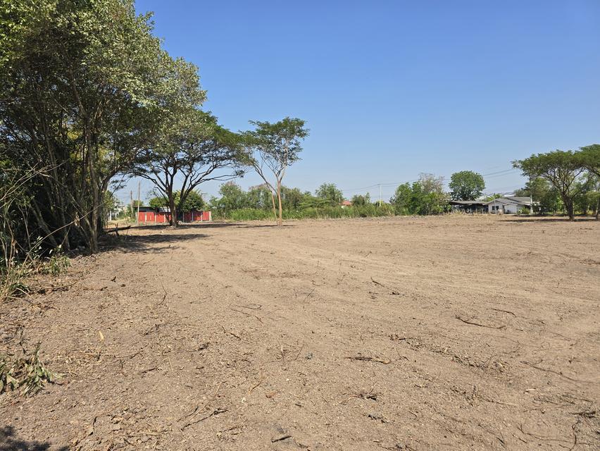 ที่ดินเปล่าถมแล้ว 7 ไร่ ใกล้กรุงเทพ ที่ดินสวย บรรยากาศดี มีทุ่งนา โฉนดครุฑแดง อ.เมือง ต.วังตะเคียน จ.ฉะเชิงเทรา 8