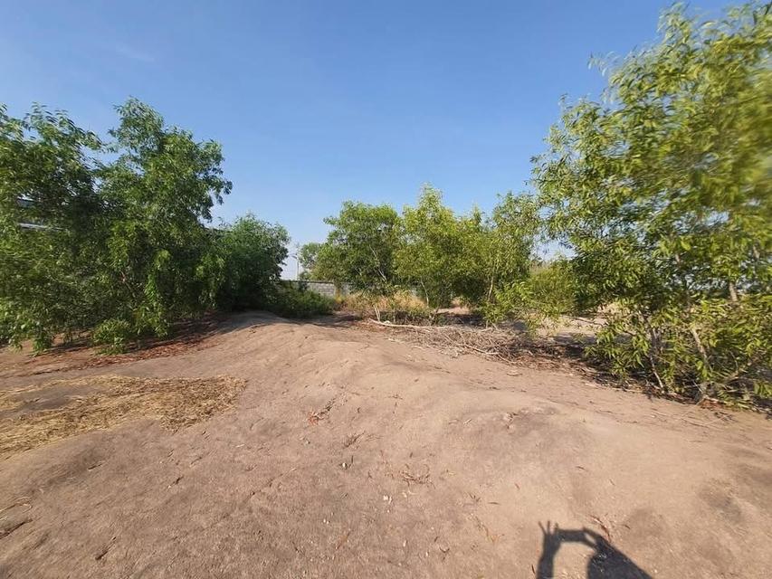 ขายด่วน !! ที่ดินคลองห้า 1 ไร่ ถมแล้วทั้งแปลง ติดถนนคอนกรีต กลั่นกรอง อ.คลองหลวง จ.ปทุมธานี 5