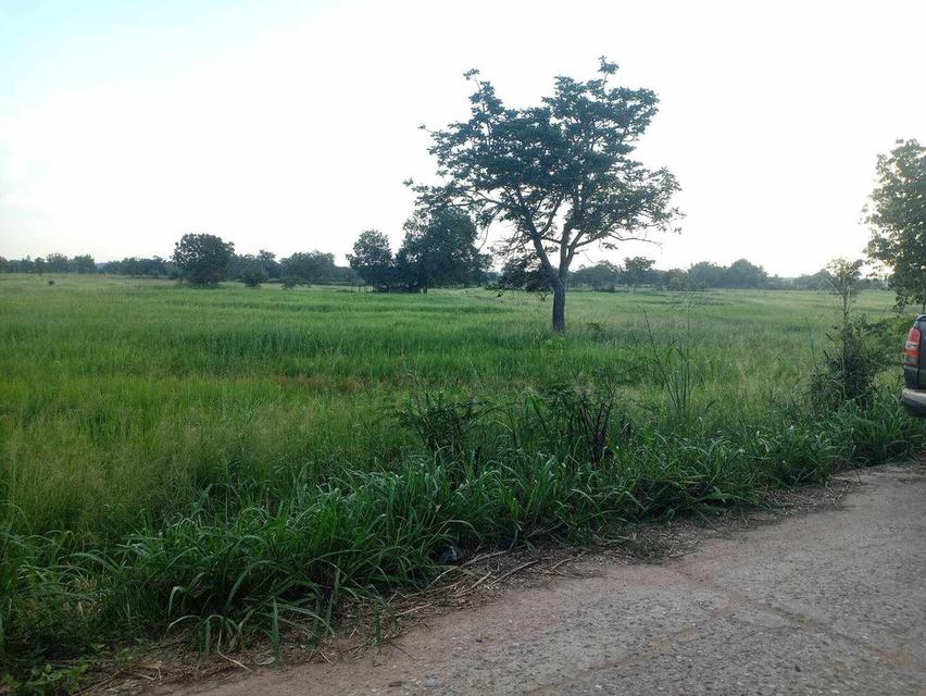 ที่ดิน อ.ด่านขุนทด จ.นครราชสีมา 15 ไร่ 2 งาน 39 ตรว ไร่ละ 300000 2