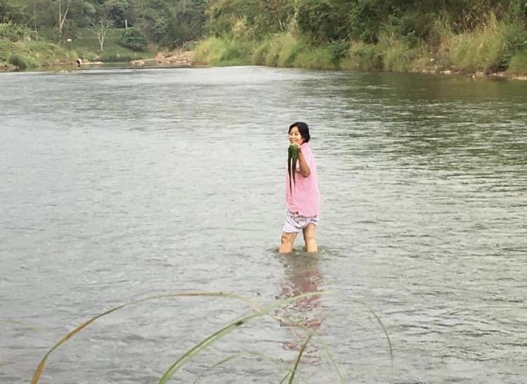 ขายสวนไม้สักติดแม่น้ำน่านกว้าง120เมตร 2