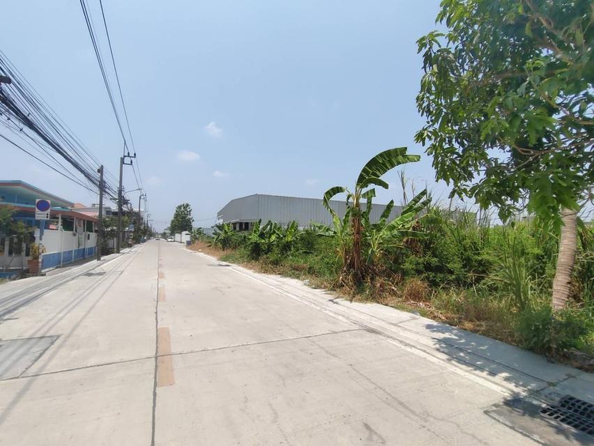 ให้เช่าที่ดินเปล่า ราคาดีถูก ซ.ร่มเกล้า 25 พื้นที่ 10-0-28 ไร่  แขวงคลองสามประเวศ เขตลาดกระบัง กรุงเทพมหานคร 6