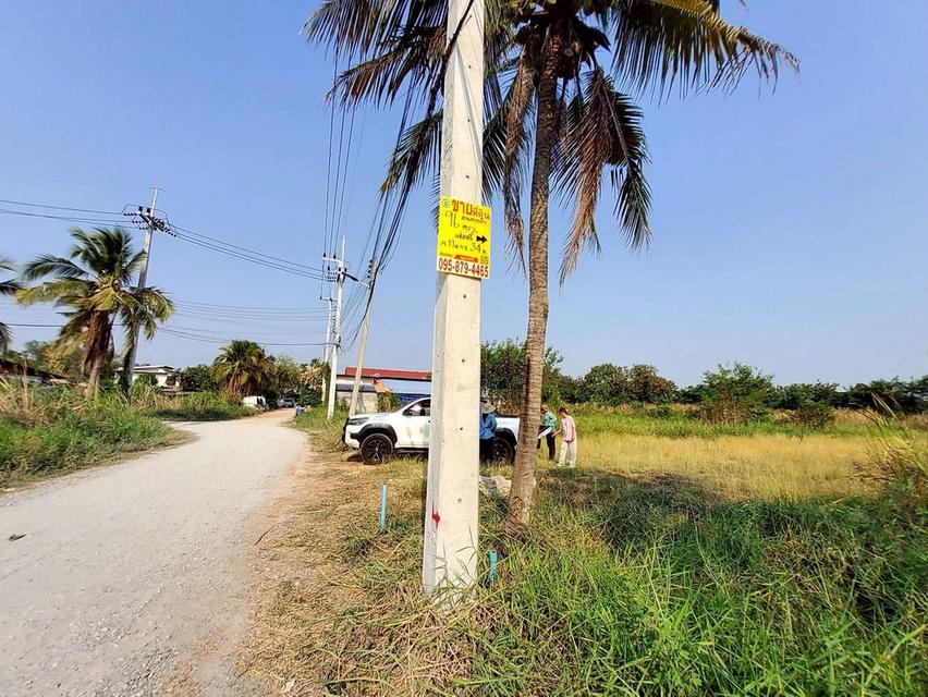 ขายด่วนที่ดิน 96 ตรว ติดถนนสาธารณะ ลานตากฟ้า นครชัยศรี นครปฐม 7