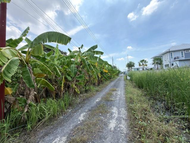 ขายที่ดินแปลงสวย 300 ตร.ว. ซอยกำนันเล็ก 2 (เพชรเกษม 69 หนองแขม) 7