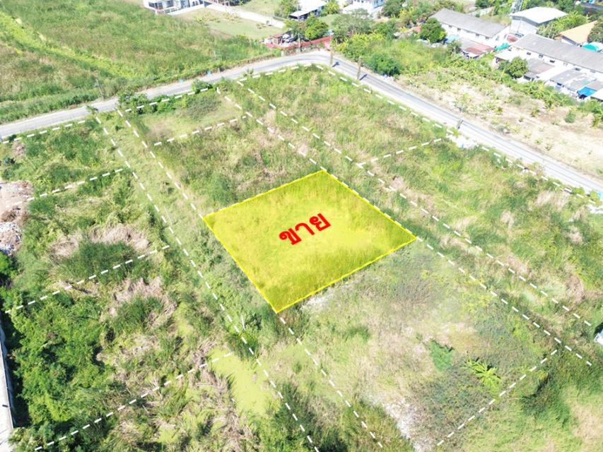 ขายที่ดิน ลำลูกกา คลองสอง 200 ตร.วา. ซอยผู้ใหญ่กำนัน หน้ากว้าง 28 ม. เหมาะปลูกบ้าน ใกล้เทศบาลลำสามแก้ว 1