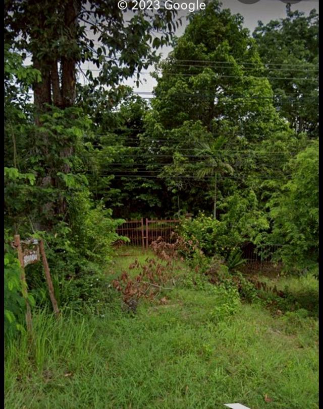 ที่ดินสวยราคาถูก เขาฉกรรจ์ สระแก้ว 7