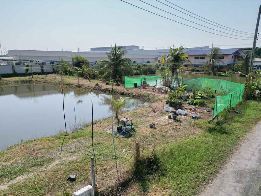 ที่ดินเปล่า ซอย สุวินทวงศ์ 27 ห่างถนนใหญ่เพียง 160 เมตร 4