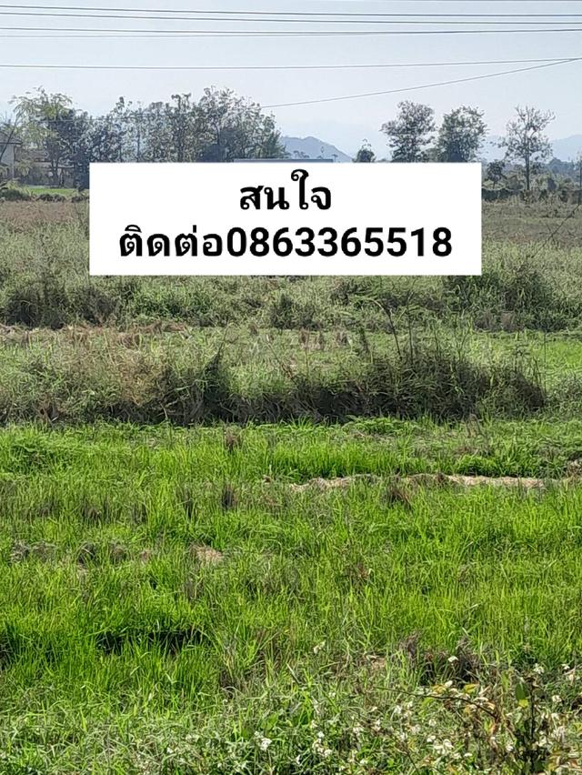 ที่ดินว่างเปล่าอ.สันกำวันนี้เป็นที่นาแต่วันหน้าอาจเป็นทำเลทอง สมบัติผลัดกันชมตาม หาเจ้าของใหม่  #ขายที่ดิน537ตารางวา ติดถนนทางหลวงแผ่น 5