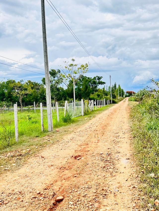 ที่ดินวิวภูเขา ทำเลดี อำเภอท่ายาง 8