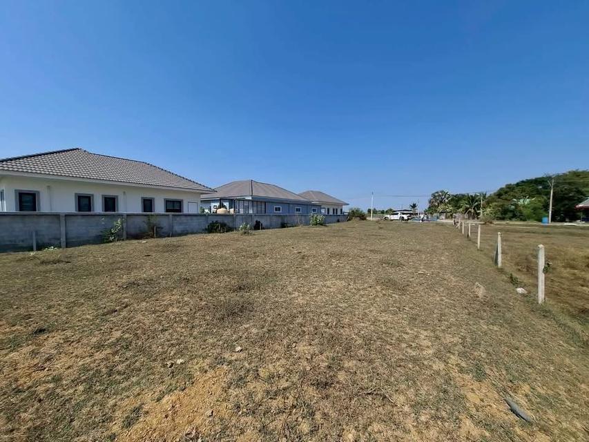 ขายด่วนที่ดิน 200 ตารางวา) ติดถนนคอนกรีตสาธารณะ ถมแล้ว ต.รางพิกุล อ.กำแพงแสน จ.นครปฐม รูปที่ 6