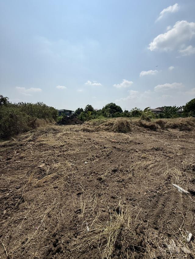 ให้เช่า ที่ดินเปล่า ถมแล้ว 1-1-84 ไร่ ราษฎร์อุทิศ 70 มีนบุรี 2