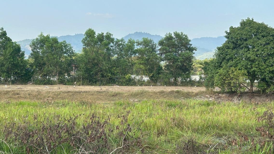 ขายที่ดินเปล่า ใกล้โรงเรียมเตรียมทหาร ตำบลศรีกะอาง อำเภอบ้านนา จังหวัดนครนายก เนื้อที่รวม 5 ไร่ 1 งาน 2