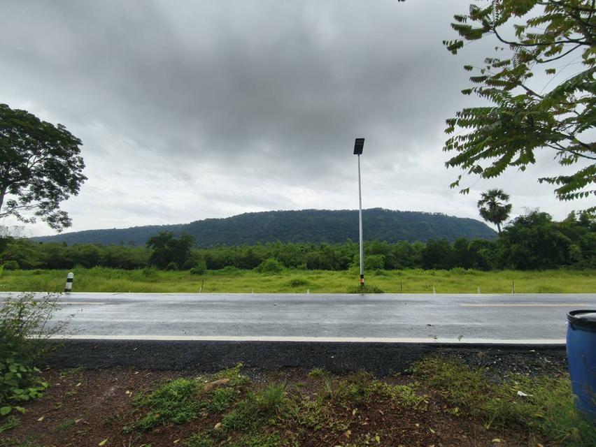 ขายที่ดินทำเลสวยติดเขาใหญ่ใกล้แหล่งท่องเที่ยวติดเขาใหญ่ 1