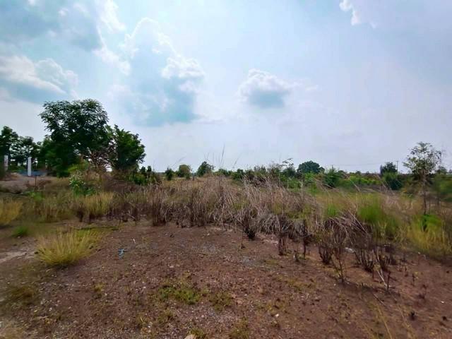 ขายที่ดินสวยปราจีนบุรี ที่ดินพร้อมใบอนุญาต 105 106 อ.ศรีมหาโพธิ จ.ปราจีนบุรี เนื้อที่ดิน 39-2-35 ไร่ 2