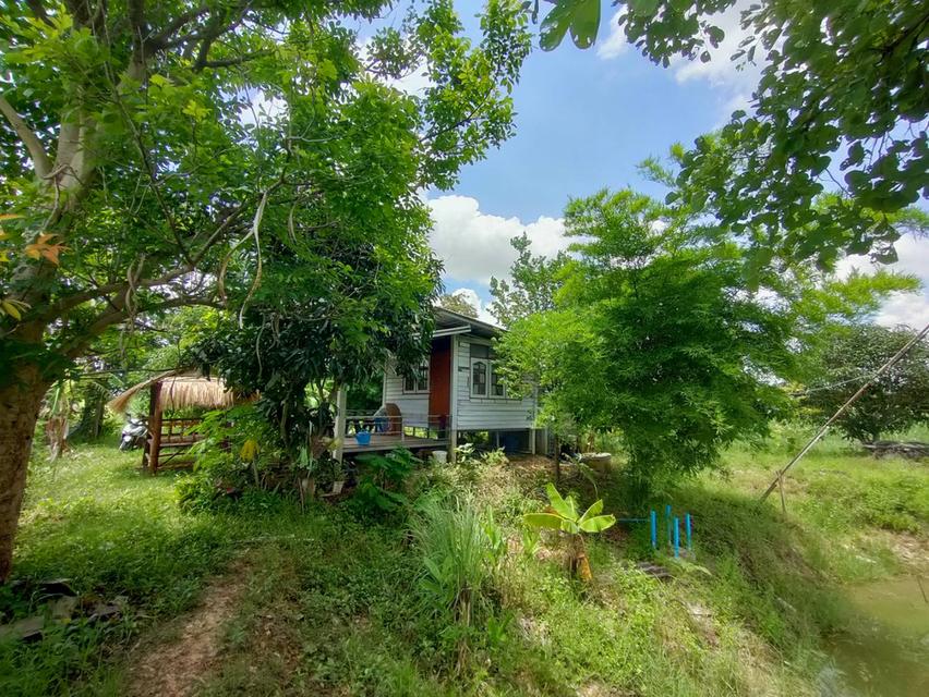 ขายที่ดินเขตอำเภอกระนวน 10 ไร่ 3 ตารางวา 8