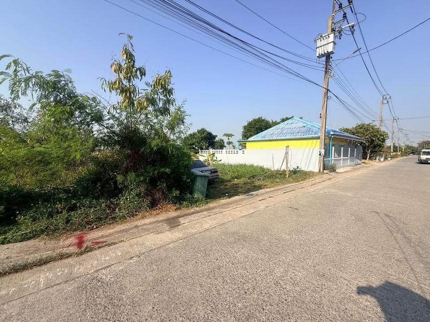 Vายด่วนที่ดินใกล้วัดสีชมพู 50 ตารางวา ติดถนนสาธารณะ ถมแล้ว ถนนคู้-คลองสิบ เขตหนองจอก กรุงเทพมหานคร 4