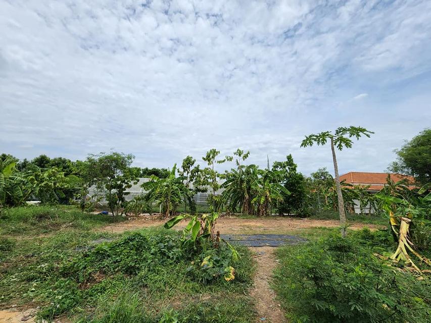 ที่ดินเปล่าแบ่งเช่าใกล้แฟชั่นไอส์แลนด์ 50-150ตรว 2