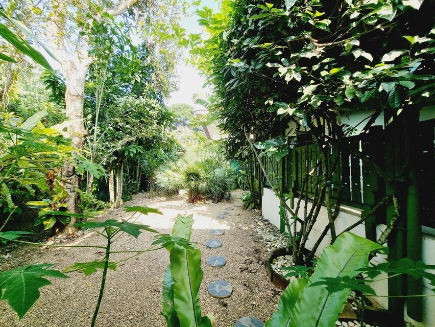 บ้านชั้นเดียวสไตล์รีสอร์ท บรรยากาศร่มรื่น ใกล้เมืองเชียงใหม่ 16