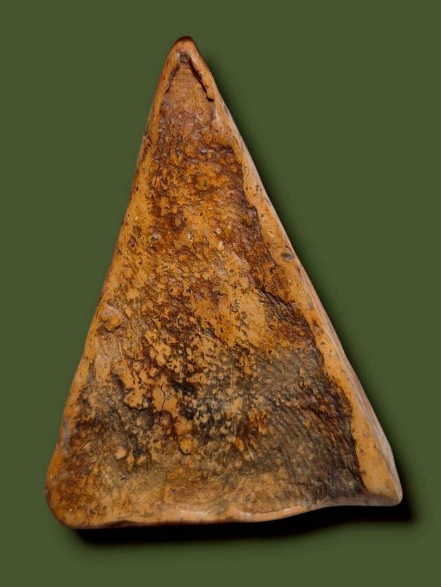 นางพญา เปิดให้บูชาจ้า 3