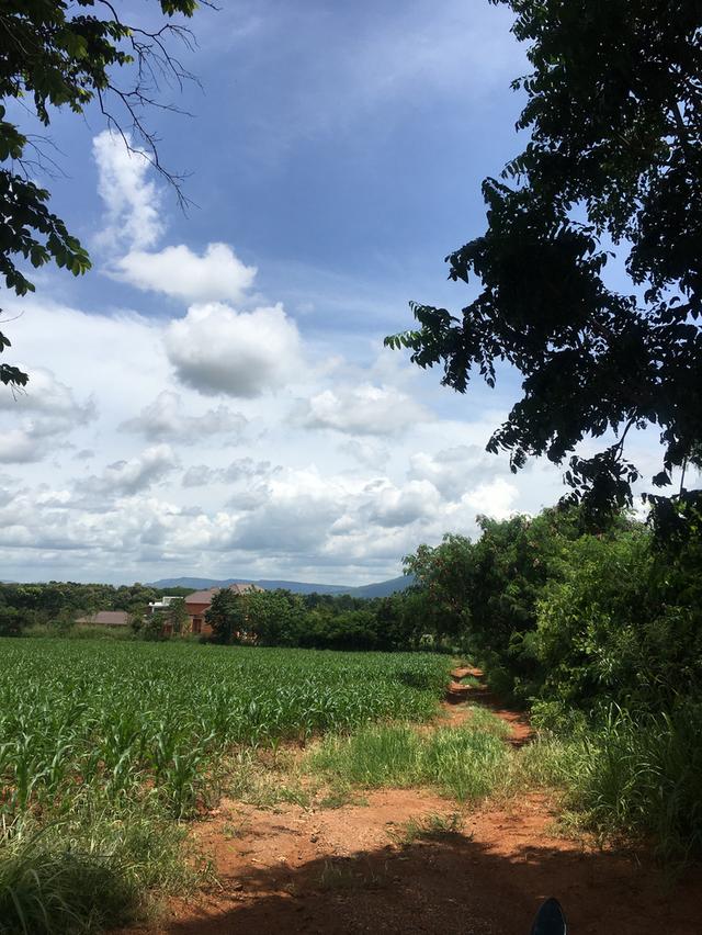 ขายที่ดินโฉนดเขาใหญ่ เนินเขา วิวสวย 28 ไร่ 1 งาน 83 ตารางวา ต.วังไทร อ.ปากช่อง จ.นครราชสีมา 1