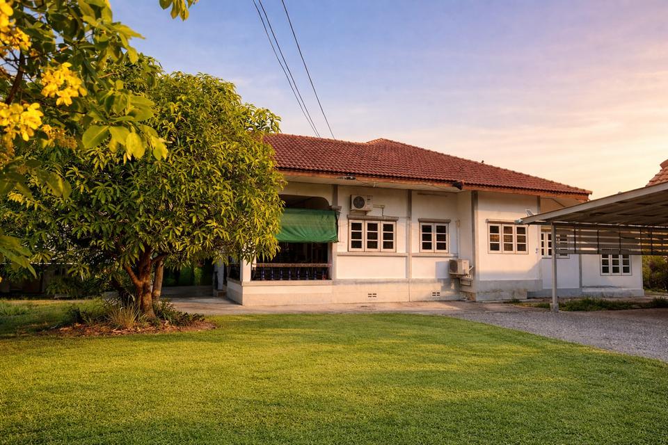 ขายบ้านสวนพร้อมที่ดิน 2