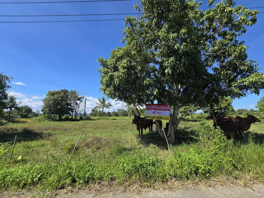 ที่ดินเปล่า เหมาะทำบ้านพักอาศัย หอพัก อ.ห้างฉัตร ลำปาง 1