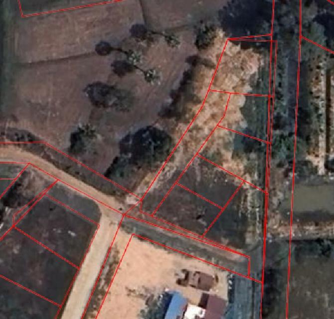 ที่ดินแบ่งขาย ใกล้ตัวเมืองกาฬสินธุ์ เหมาะสร้างบ้านอยู่อาศัย 13