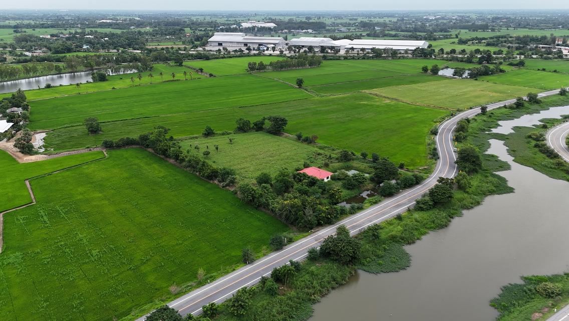 🏡 ที่ดินริมบึงบ้านโพธิ์ ! อ.เมือง สุพรรณบุรี 6