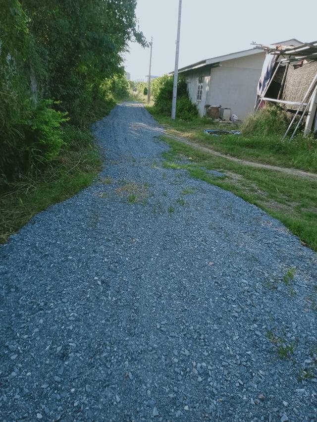 ที่ดินเปล่า ไม่มีสิ่งปลูกสร้าง 2