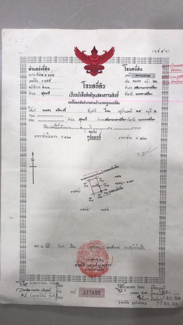 ที่ดิน 1
