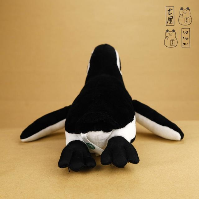 ตุ๊กตา นกเพนกวินฮัมโบลด์・เพนกวินเปรู・เพนกวินว่ายน้ำ 🐧 Humboldt Penguin Plush・Standard ~ Medium Size ~ 29 cm ・COLORATA・Real Penguin Family ❄️✨ รูปย่อยที่ 4
