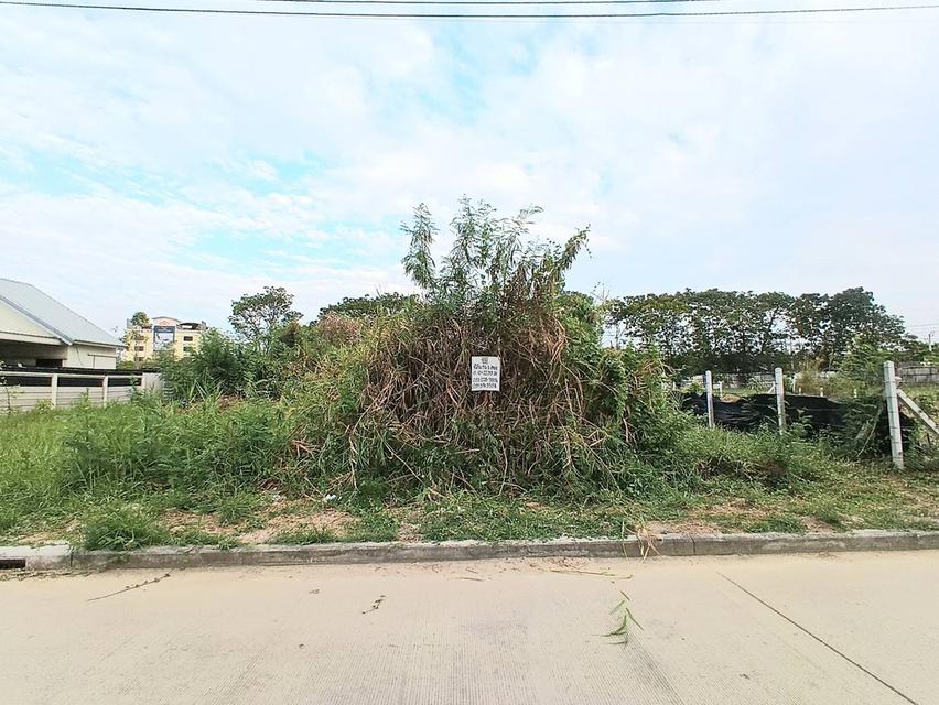 ที่ดิน 56.1 ตารางวา ถมแล้ว ซอยเฉลิมพระเกียรติ 39/2 ติดสวนหลวงร 9 เขตประเวศ กรุงเทพฯ 3