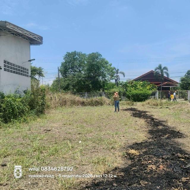 ขายด่วนที่ดิน 165.7 ตรว ติดถนนหินคลุก ถนนมิตรไมตรี หนองจอก กทม. 8