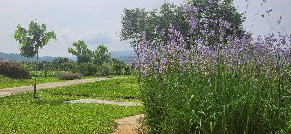 ขายที่ดินพร้อมบ้านพักตากอากาศ วิวเขาล้อมรอบ เงียบสงบ ตรงข้ามวัดท่าตอน จ.เชียงใหม่  19