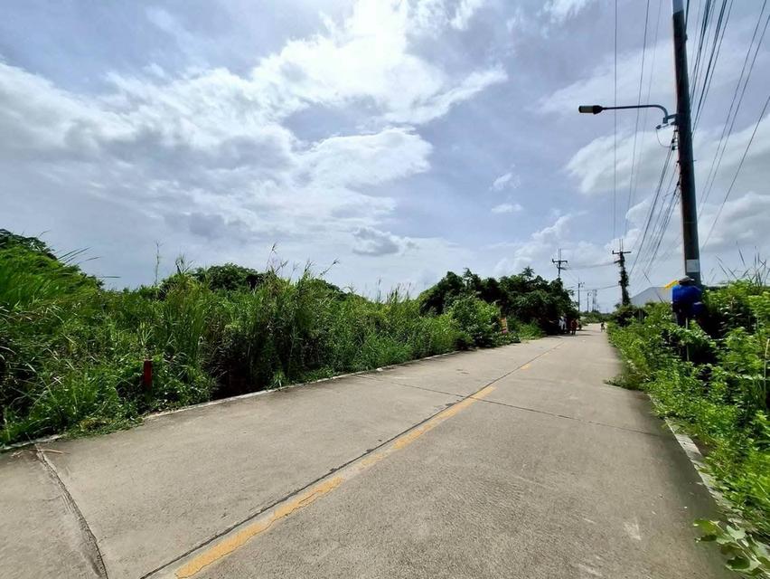 Vายถูกที่ดินถนนบางปลา 445 ตารางวา ติดถนนคอนกรีตสาธารณะ เทศบาลบางปลา ซอย 15,17 เมืองสมุทรสาคร 4
