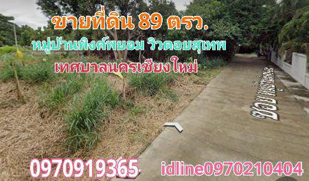 ให้เช่า ที่ดิน หมู่บ้านพิงค์พยอม 89 ตร.วา วิวดอยสุเทพ หมู่บ้านพิงค์พยอม เทศบาลนครเชียงใหม่ 1