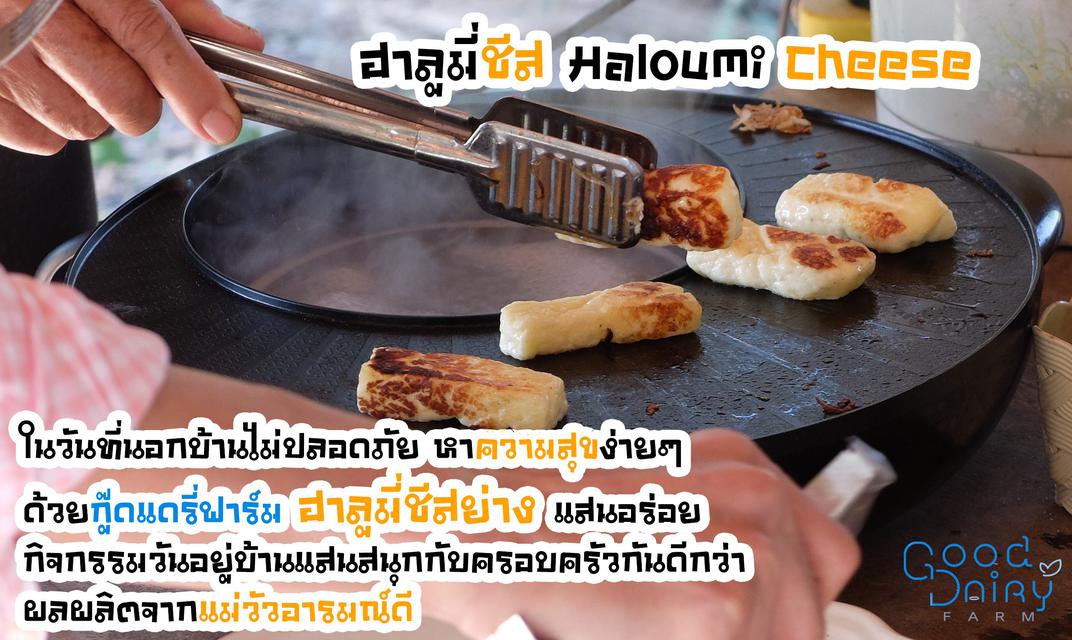 ฮาลูมี่ ชีส Haloumi Cheese by Good Dairy Farm  4