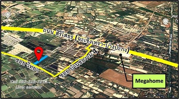 ที่ดิน ที่ดินบางพระ เมืองฉะเชิงเทรา 17697750 B. 2359 ตร.วา ราคาน่าลงทุน 4