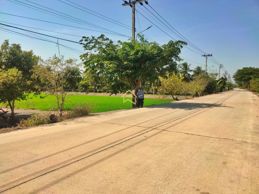 ขาย ที่ดิน 4 ไร่ 1 งาน 59.6 ตารางวา อ.ไทรน้อย จ.นนทบุรี 3