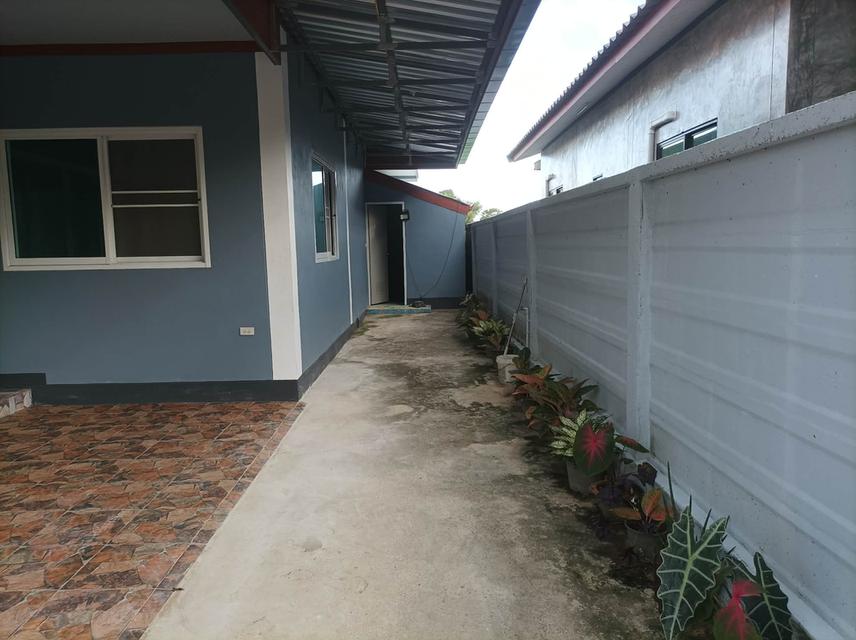 ขายบ้านพร้อมที่ดิน ต.ตลาดใหญ่ อ.ดอยสะเก็ด จ.เชียงใหม่ 4