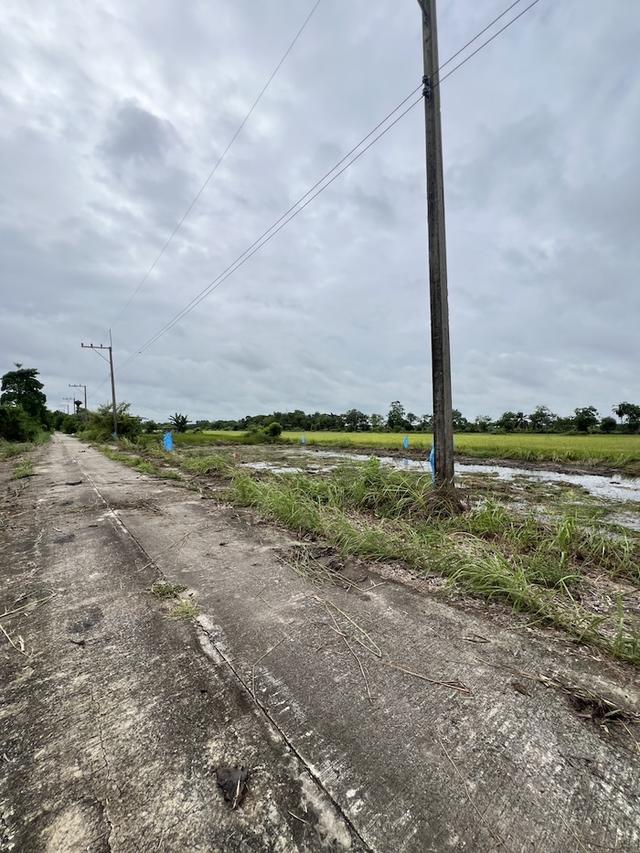 ที่ดิน หนองเสือ ปทุมธานี ขนาด 50 ตร.วา 290,000 19